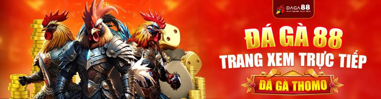 Đá gà trực tuyến vh88 với những trận đấu gà chọi kịch tính